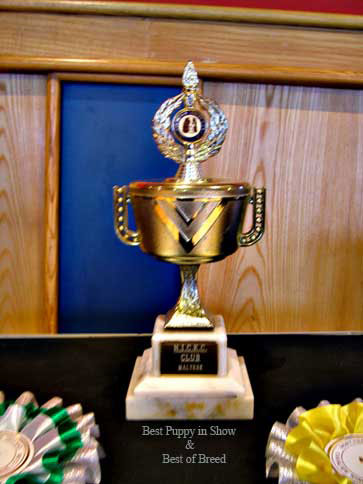 trophy